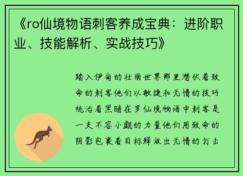 《ro仙境物语刺客养成宝典：进阶职业、技能解析、实战技巧》